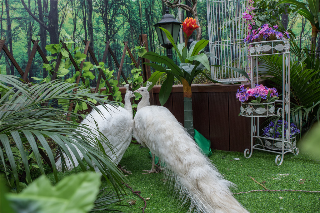 ��ҳ|���������й��ٷ���վ