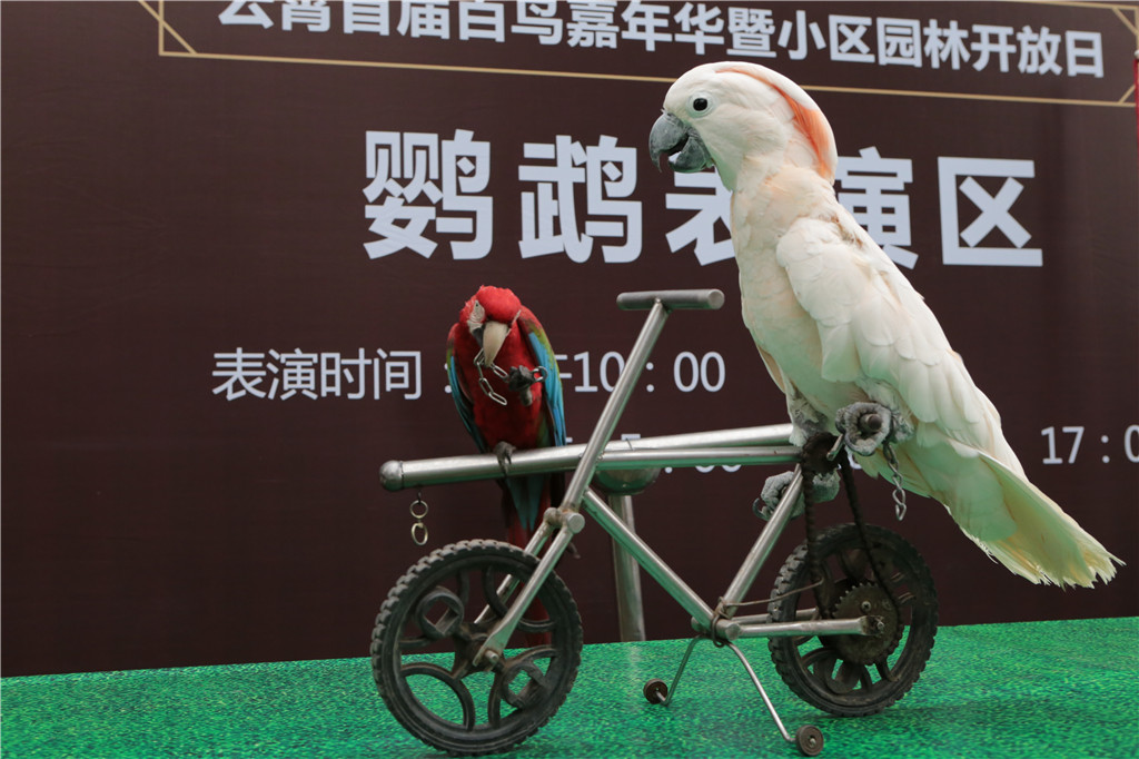 ��ҳ|���������й��ٷ���վ