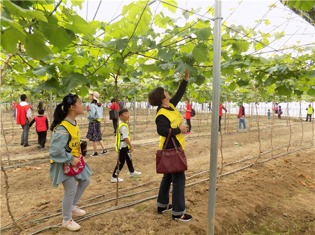 ��ҳ|���������й��ٷ���վ