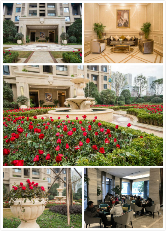 首页|尊龙集团中国官方网站