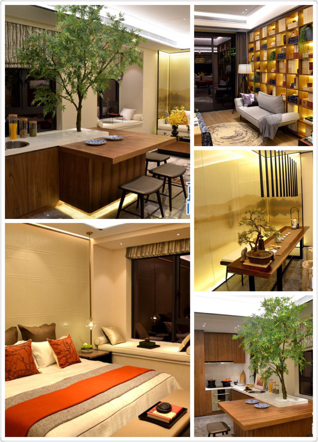 首页|尊龙集团中国官方网站