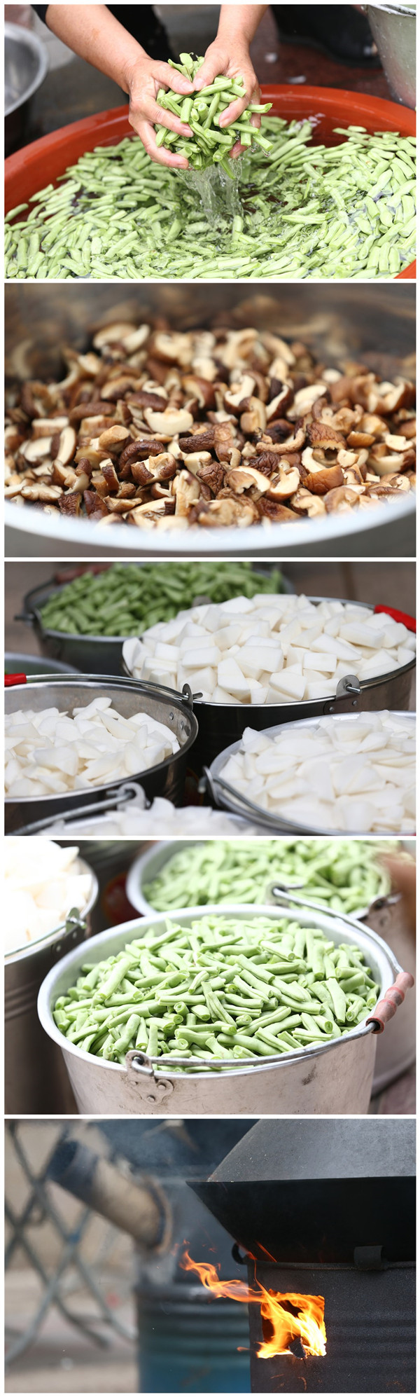 首页|尊龙集团中国官方网站