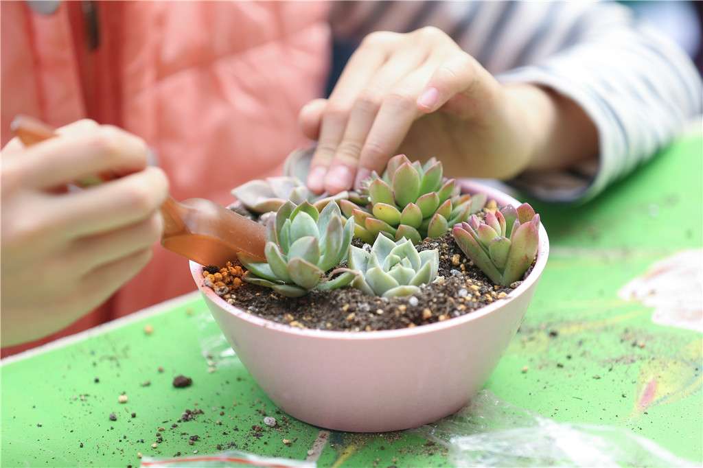 首页|尊龙集团中国官方网站