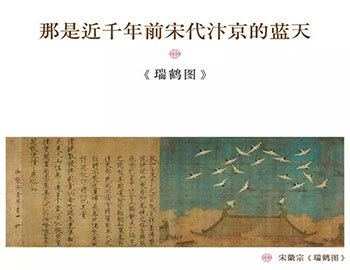 �����޷���֧�������������β�����������