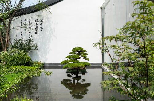 ����ǧ�� | ������ѧ