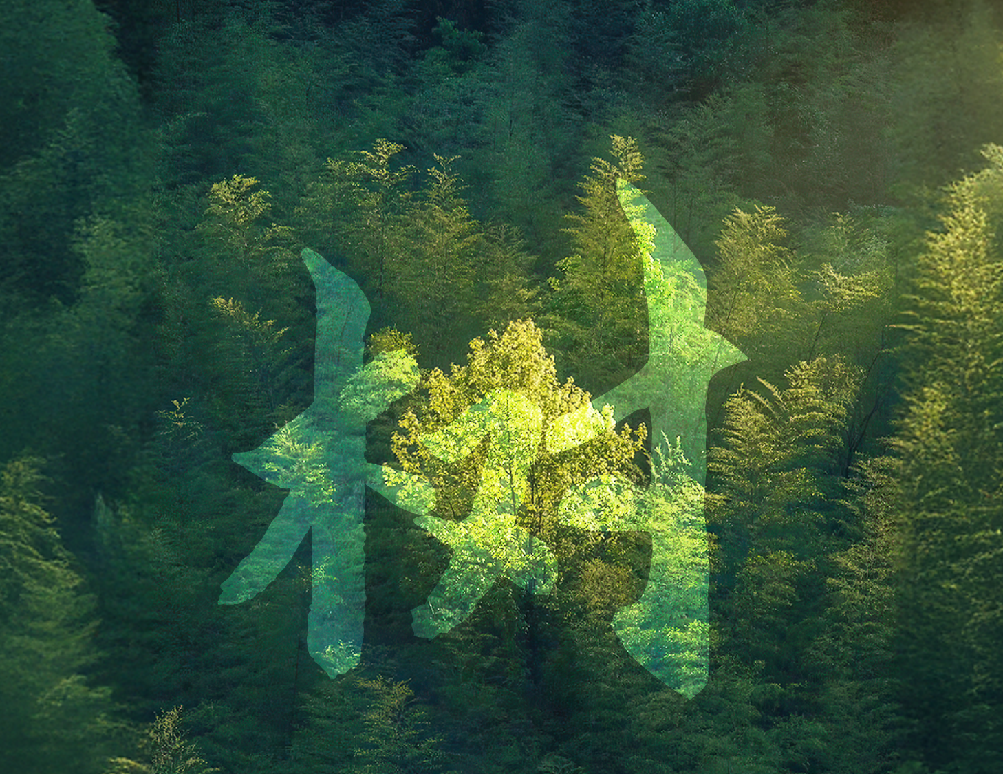 һ��һ����ح һԺ������