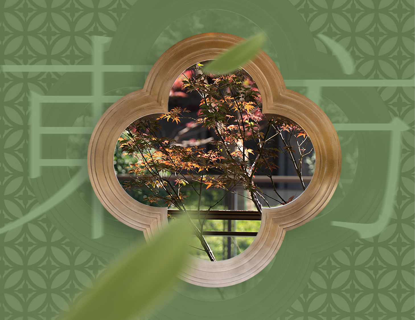 ����ʶ���������״�������2�ڣ�԰��֮�����Զ����ǻۣ���������������Ѱ���ı���