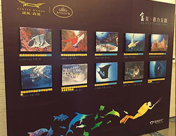 ��������ʫ�͵�Ǳˮ��������� Բ����Ļ